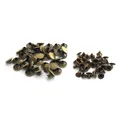 100 rivets métal 3 à 10 mm pour maroquinerie et accessoires – Couleur bronze