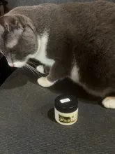 Avis clients – Peinture cuir 50ml pour réparation et pâte complémentaire