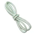 Cordon cuir PU coloré 6 mm 100 cm pour loisirs créatifs – Couleur Iridescent 4