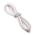 Cordon cuir PU coloré 6 mm 100 cm pour loisirs créatifs – Couleur Iridescent 8
