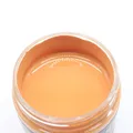 Kit de réparation cuir pour sièges de voiture et canapés – Couleur Naked Color