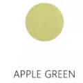 Teinture alcool cuir 100ml pour sacs et artisanat – Couleur Apple green